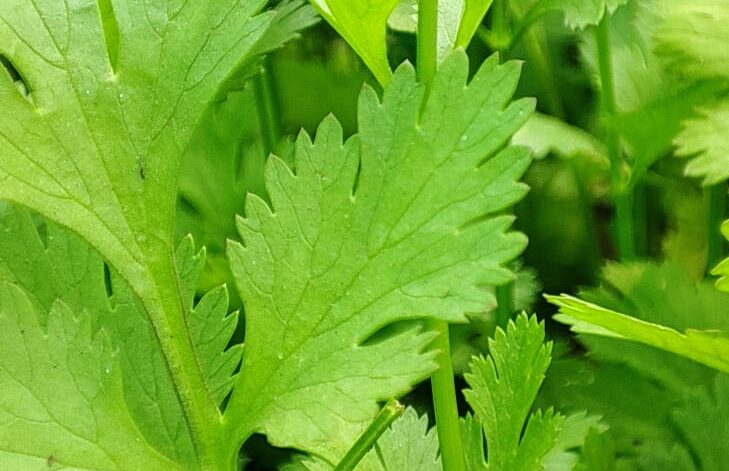 7db7ec8e-6021-4f51-8bee-db95f06637ae