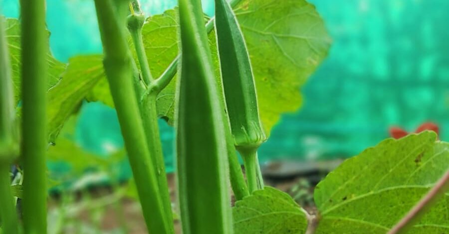 f47080f5-281c-44ac-9b18-e95bfa60565b