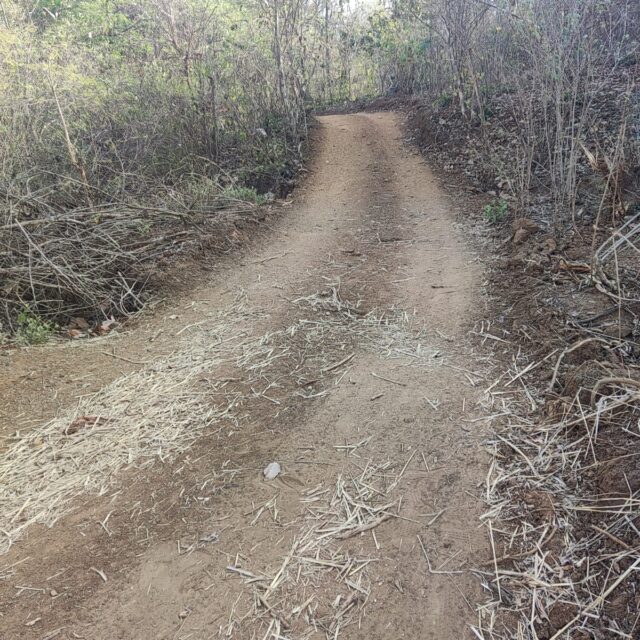 f4a25d5b-da09-42af-95be-3129567a1a12