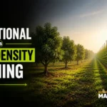 Traditional vs high-density farming blog mangofolks