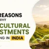 Reasons Why Agricultural Investments are Rising in India Mangofolks Managed Farmland Investment In Maharashtra