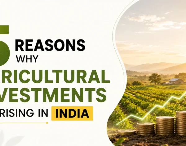 Reasons Why Agricultural Investments are Rising in India Mangofolks Managed Farmland Investment In Maharashtra