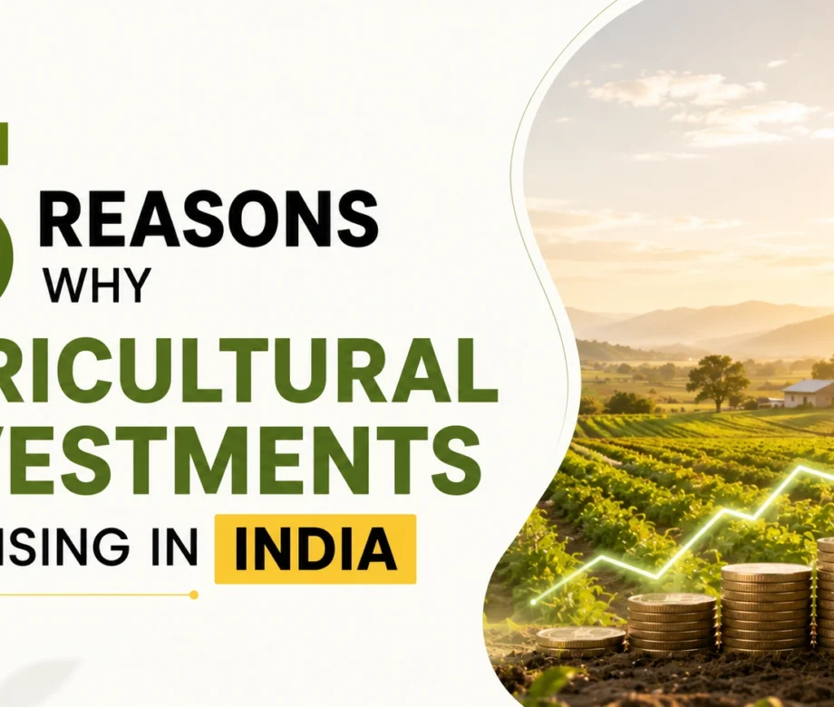 Reasons Why Agricultural Investments are Rising in India Mangofolks Managed Farmland Investment In Maharashtra