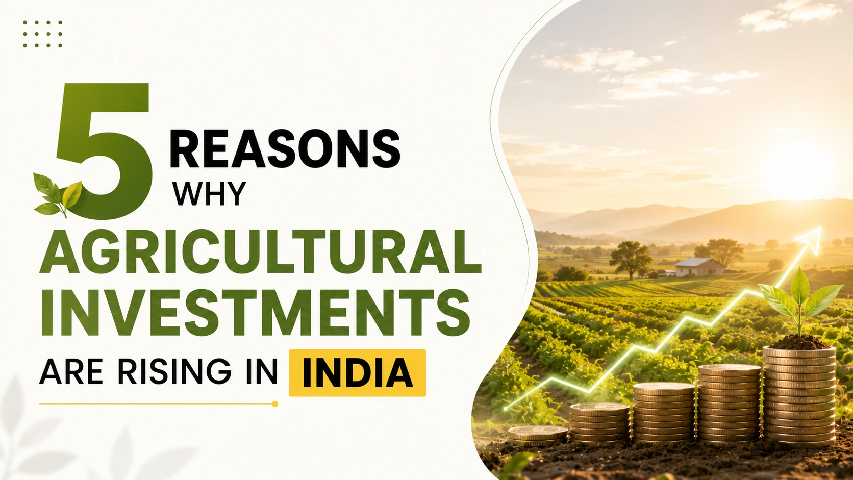 Reasons Why Agricultural Investments are Rising in India Mangofolks Managed Farmland Investment In Maharashtra