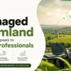 Why-Managed-Farmland-near-Mumbai-and-Pune-Appeals-To-Busy-Professionals-Mangofolks