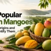 15-Popular-Indian-Mangoes-Varieties